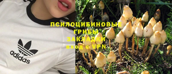 дурь Новозыбков