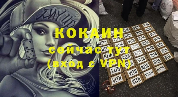 гашик Новодвинск