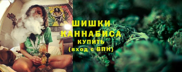 дурь Новозыбков